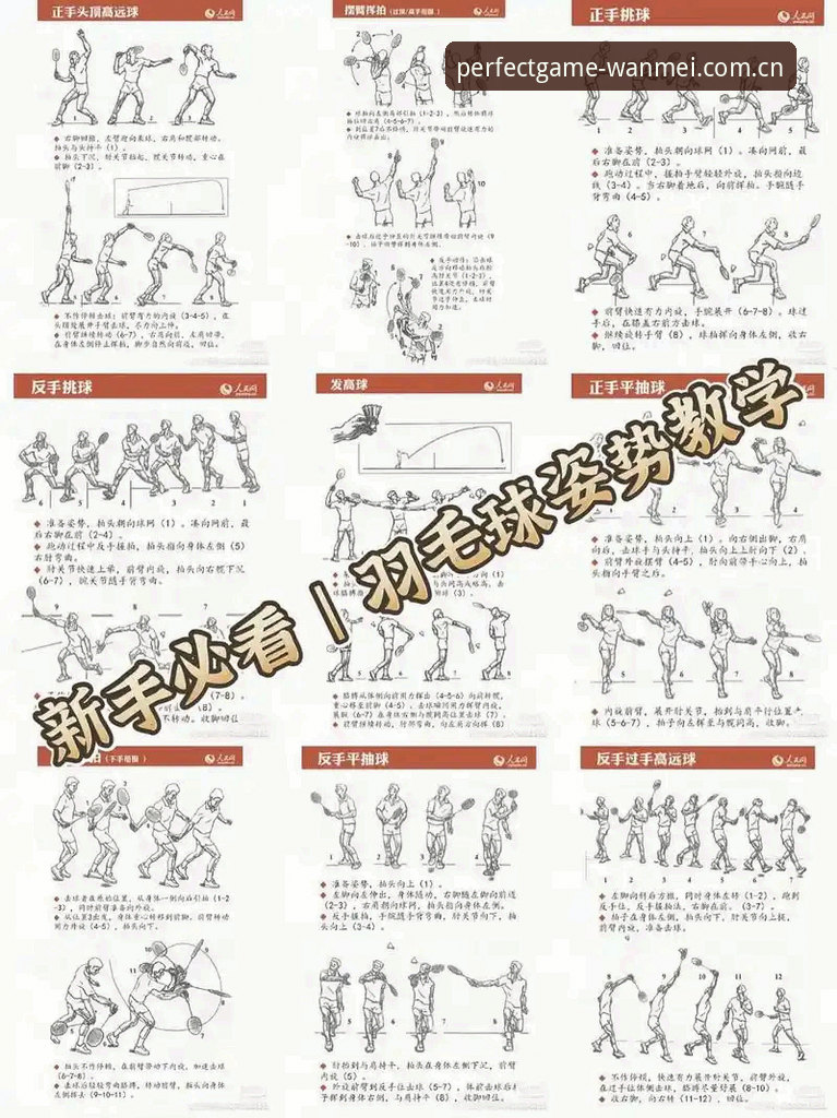 完美体育平台使用教程攻略完整指南：从入门到精通的新手教程